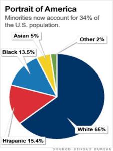 2010 Census pie chart